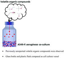 Graphical abstract: Volatile organic compound signature from co-culture of lung epithelial cell line with Pseudomonas aeruginosa