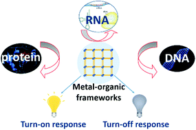 Graphical abstract: Luminescent switch sensors for the detection of biomolecules based on metal–organic frameworks