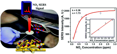 Graphical abstract: Highly sensitive and on-site NO2 SERS sensors operated under ambient conditions