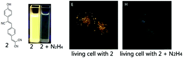 Graphical abstract: A fluorescent sensor based on aggregation-induced emission: highly sensitive detection of hydrazine and its application in living cell imaging