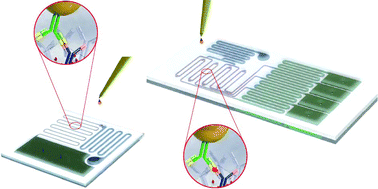 Graphical abstract: A capillary flow-driven microfluidic system for microparticle-labeled immunoassays