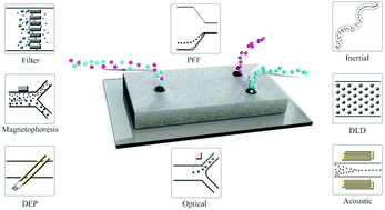 Graphical abstract: A review of sorting, separation and isolation of cells and microbeads for biomedical applications: microfluidic approaches