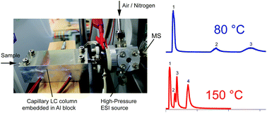 Graphical abstract: Hyphenation of high-temperature liquid chromatography with high-pressure electrospray ionization for subcritical water LC-ESI-MS