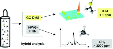 Graphical abstract: Portable combination of Fourier transform infrared spectroscopy and differential mobility spectrometry for advanced vapor phase analysis
