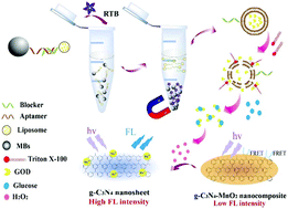 Graphical abstract: A sensitive and low background fluorescent sensing strategy based on g-C3N4–MnO2 sandwich nanocomposite and liposome amplification for ricin detection