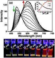 Graphical abstract: Ratiometric red-emission fluorescence detection of Al3+ in pure aqueous solution and live cells by a fluorescent peptidyl probe using aggregation-induced emission