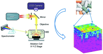 Graphical abstract: In situ analytical characterization and chemical imaging of tablet coatings using laser induced breakdown spectroscopy (LIBS)