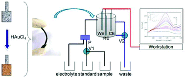 Graphical abstract: The preparation of a flexible AuNP modified carbon cloth electrode and its application in electrochemical detection of Hg(ii) by continuous flow in environmental water