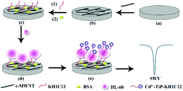 Graphical abstract: An ultrasensitive electrochemical cytosensor for highly specific detection of HL-60 cancer cells based on metal ion functionalized titanium phosphate nanospheres