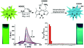 Graphical abstract: A ratiometric fluorescent BODIPY-based probe for rapid and highly sensitive detection of cysteine in human plasma