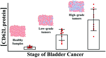 Graphical abstract: A novel and accurate microfluidic assay of CD62L in bladder cancer serum samples