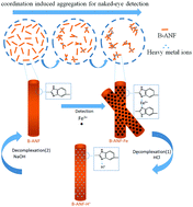Graphical abstract: Benzimidazole-containing aramid nanofiber for naked-eye detection of heavy metal ions