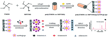 Graphical abstract: A facile AuNPs@aptamer-modified mercaptosiloxane-based hybrid affinity monolith with an unusually high coverage density of aptamer for on-column selective extraction of ochratoxin A