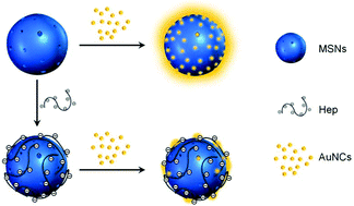 Graphical abstract: Sensitive fluorescence detection of heparin based on self-assembly of mesoporous silica nanoparticle–gold nanoclusters with emission enhancement characteristics