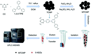 Graphical abstract: A triazine-based conjugated microporous polymer composite for magnetic solid phase extraction of 5-nitroimidazoles coupled with UPLC-MS/MS for quantification