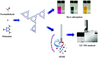 Graphical abstract: Synthesis of nanoporous poly-melamine-formaldehyde (PMF) based on Schiff base chemistry as a highly efficient adsorbent