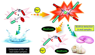 Graphical abstract: “Turn-on” Pb2+ sensing and rapid detection of biothiols in aqueous medium and real samples