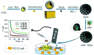 Graphical abstract: An electrochemical enzymatic nanoreactor based on dendritic mesoporous silica nanoparticles for living cell H2O2 detection