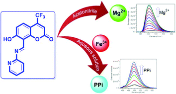 Graphical abstract: Solvent directed selective and sensitive fluorescence detection of target ions using a coumarin–pyridine probe
