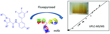 Graphical abstract: Combined heterologies for monoclonal antibody-based immunoanalysis of fluxapyroxad