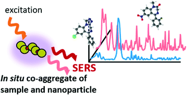 Graphical abstract: Rapid detection of hypnotics using surface-enhanced Raman scattering based on gold nanoparticle co-aggregation in a wet system