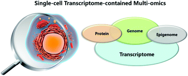 Graphical abstract: Single cell transcriptomics: moving towards multi-omics