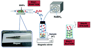 Graphical abstract: Fe3O4-based composite magnetic nanoparticles for volatile compound sorption in the gas phase: determination of selenium(iv)