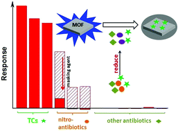 Graphical abstract: Metal–organic framework-based fluorescent sensing of tetracycline-type antibiotics applicable to environmental and food analysis