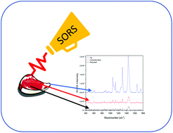 Graphical abstract: Investigation of chemical composition of meat using spatially off-set Raman spectroscopy