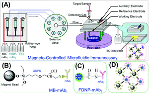 Graphical abstract: Magneto-controlled flow-injection device for electrochemical immunoassay of alpha-fetoprotein on magnetic beads using redox-active ferrocene derivative polymer nanospheres