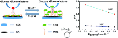 Graphical abstract: Temperature-induced amperometric glucose biosensor based on a poly(N-vinylcaprolactam)/graphene oxide composite film