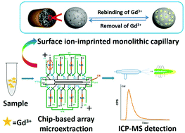 Graphical abstract: Microfluidic array surface ion-imprinted monolithic capillary microextraction chip on-line hyphenated with ICP-MS for the high throughput analysis of gadolinium in human body fluids