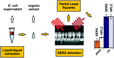 Graphical abstract: Simultaneous quantification of multiple bacterial metabolites using surface-enhanced Raman scattering
