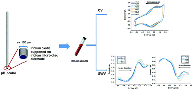 Graphical abstract: Optimising amperometric pH sensing in blood samples: an iridium oxide electrode for blood pH sensing