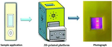 Graphical abstract: Integration of a 3D-printed read-out platform with a quantum dot-based immunoassay for detection of the avian influenza A (H7N9) virus