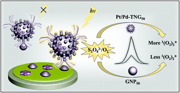 Graphical abstract: Peroxydisulfate/oxygen system-based electrochemiluminescent immunosensing of Hg2+ using Pt/Pd nanodendrites-thiosemicarbazide/norfloxacin as a signal enhancer