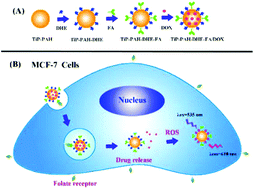Graphical abstract: Multifunctional titanium phosphate nanoparticles for site-specific drug delivery and real-time therapeutic efficacy evaluation
