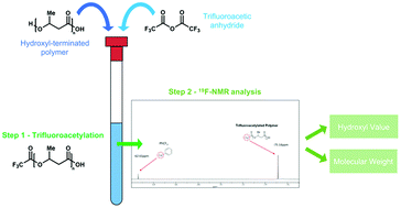 Graphical abstract: Facile method based on 19F-NMR for the determination of hydroxyl value and molecular weight of hydroxyl terminated polymers