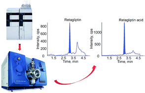 Graphical abstract: Simultaneous quantitative analysis of retagliptin and its main active metabolite in human multiple matrices by liquid chromatography tandem mass spectrometry