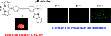 Graphical abstract: Synthesis of a BODIPY–2-(2′-hydroxyphenyl)benzothiazole conjugate with solid state emission and its application as a fluorescent pH probe