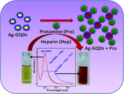 Graphical abstract: Selective and sensitive determination of the antidote of heparin using Ag-GQDs by optical methods