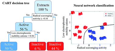 Graphical abstract: Confirmation of the antiviral properties of medicinal plants via chemical analysis, machine learning methods and antiviral tests: a methodological approach