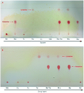 Graphical abstract: Rapid determination of histamine in fish by thin-layer chromatography-image analysis method using diazotized visualization reagent prepared with p-nitroaniline