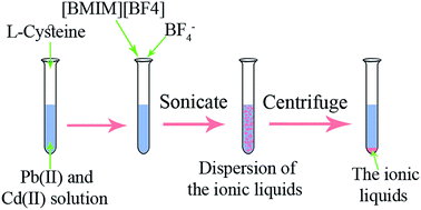 Graphical abstract: Pre-concentration and determination of cadmium and lead ions in real water, soil and food samples using a simple and sensitive green solvent-based ultrasonic assisted dispersive liquid–liquid microextraction and graphite furnace atomic absorption spectrometry