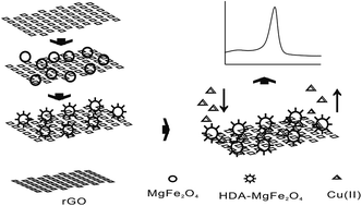 Graphical abstract: Electrochemical detection of Cu(ii) using amino-functionalized MgFe2O4/Reduced graphene oxide composite