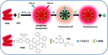 Graphical abstract: Determination of Cu2+ and biothiols by novel red fluorescent hybrid nanoparticles
