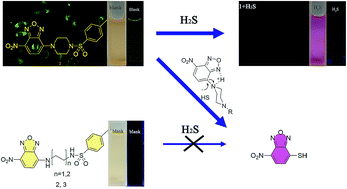 Graphical abstract: Piperazine-tuned NBD-based colorimetric and fluorescent turn-off probes for hydrogen sulfide