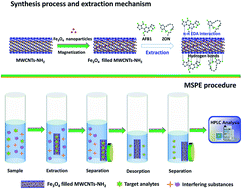 Graphical abstract: Simultaneous determination of aflatoxin B1 and zearalenone by magnetic nanoparticle filled amino-modified multi-walled carbon nanotubes