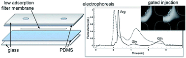 Graphical abstract: Characterization of low adsorption filter membranes for electrophoresis and electrokinetic sample manipulations in microfluidic paper-based analytical devices