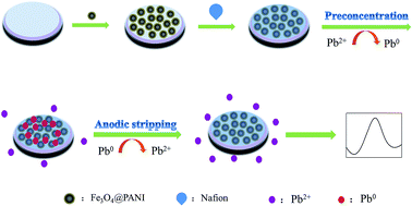 Graphical abstract: An electrochemical sensor based on Fe3O4@PANI nanocomposites for sensitive detection of Pb2+ and Cd2+